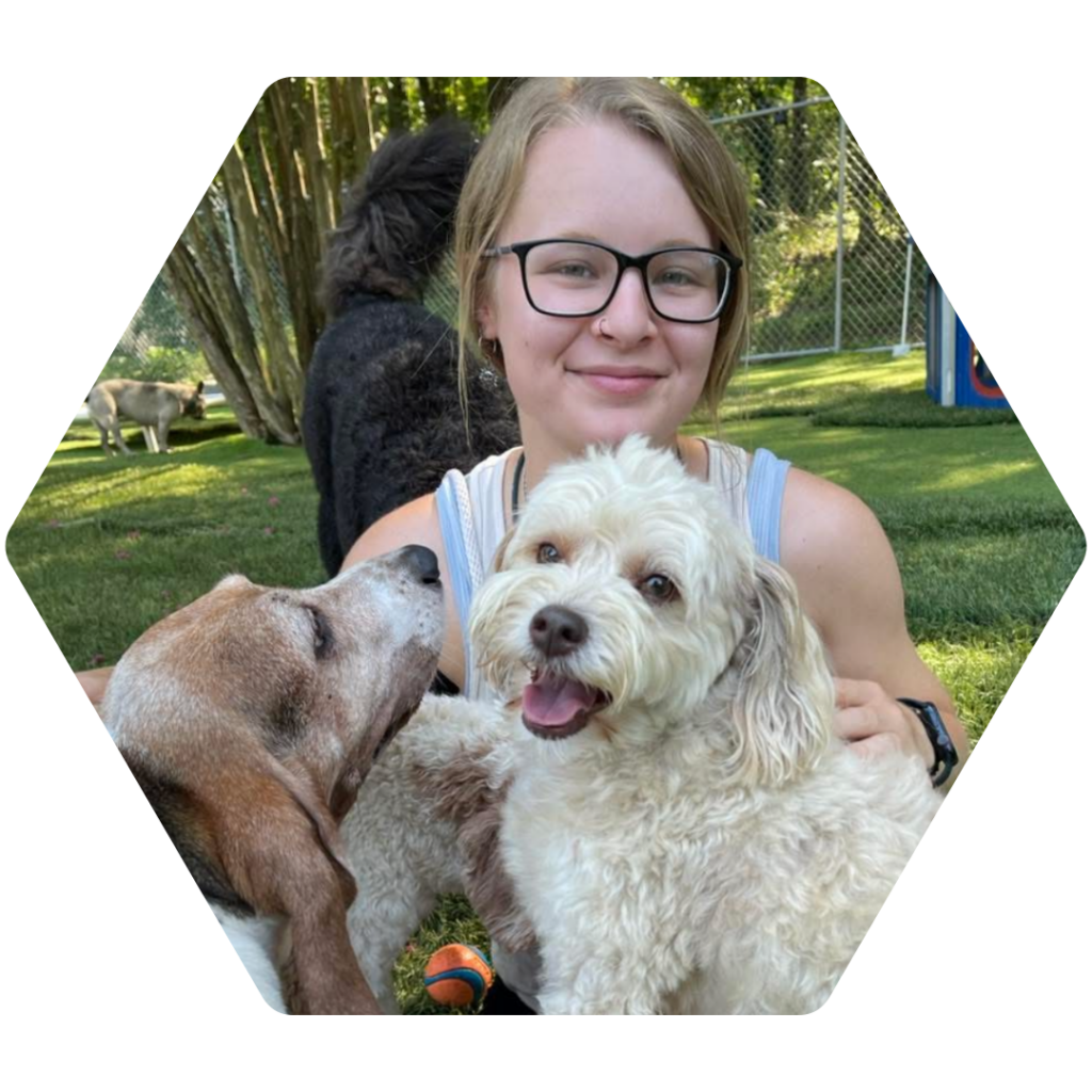 Alex Harris playing in a group of dogs