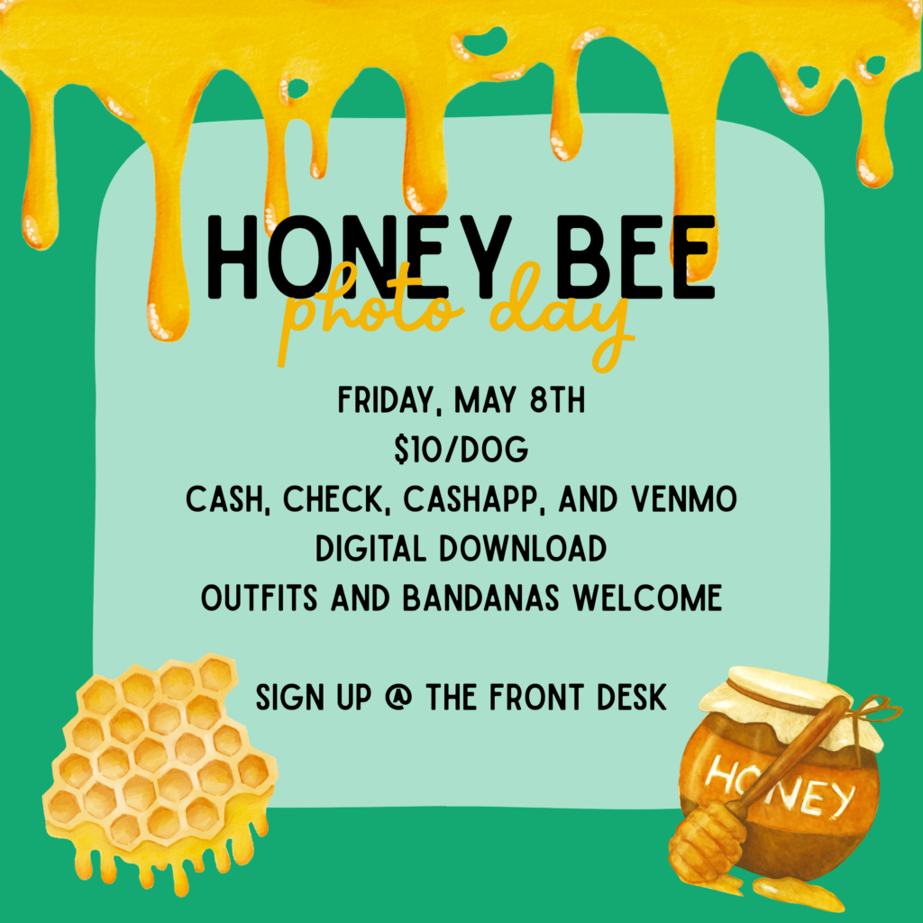 Honey Bee Photo Day: Friday May 8th. $10/dog. Cash, Check, Cashapp, and Venmo. Digital download. Outfits and bandanas welcome. Sign up at the front desk.