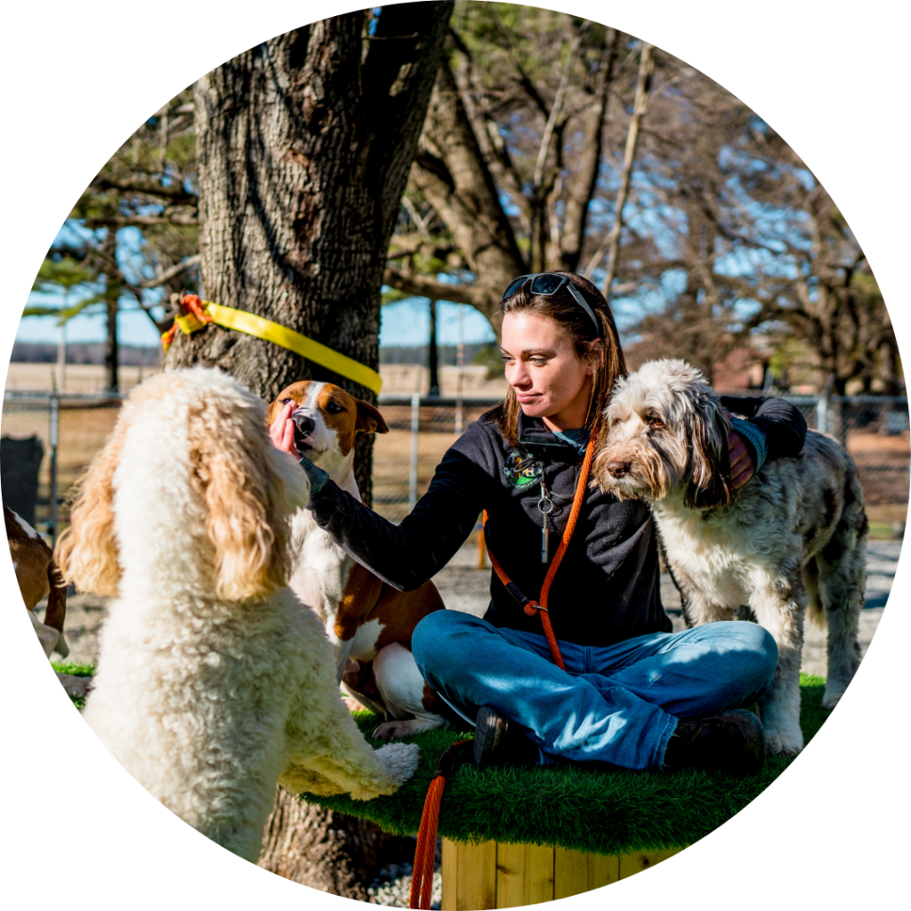 Magnolia Dog Ranch owner, Jordan Engle, playing with a group of dogs