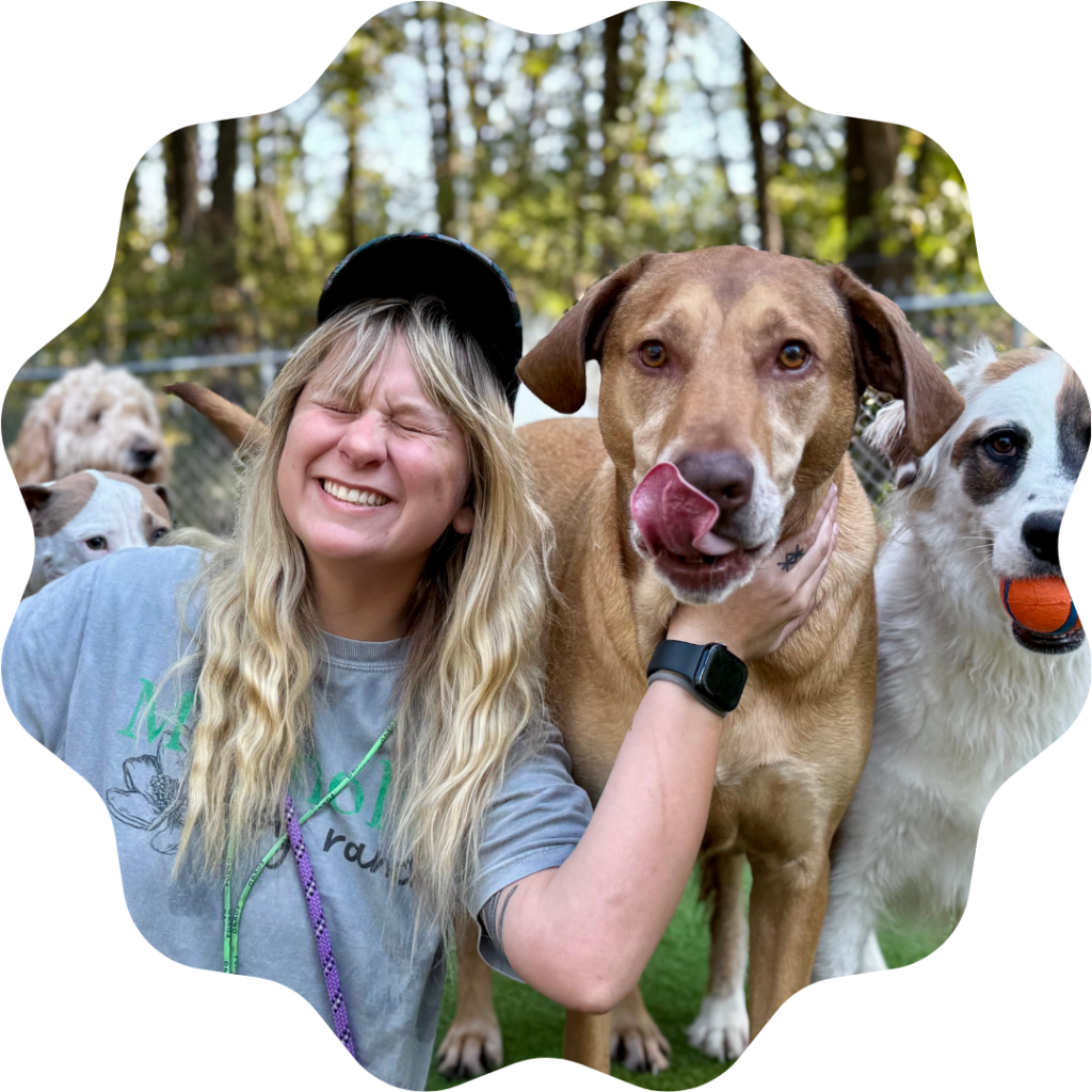 Maddie Gross playing with a group of dogs