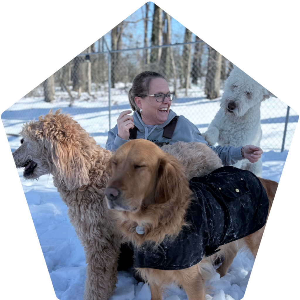 Tera Ashby playing with group of dogs in the snow